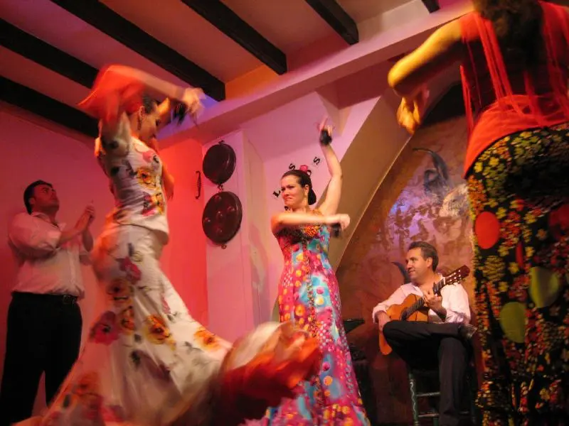 7 marca radio i telewizja flamenco - Jak wygląda flamenco